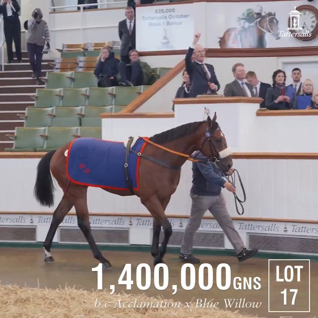 Record price for the #TattsCraven Breeze Up 🤩🤩🤩 Anthony Stroud lands the 1,400,000gns winning bid on behalf of Godolphin for Mocklershill's Acclamation colt.