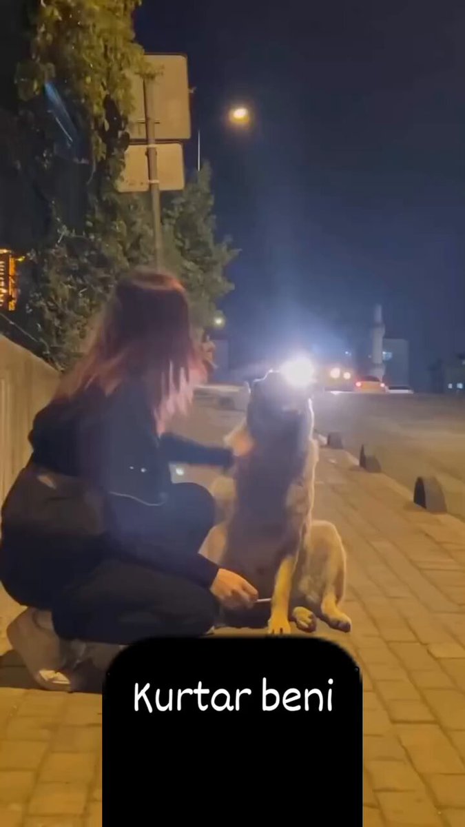 Dilerim hayat size sokak hayvanlarına davrandığınız gibi davranır… #TürkiyedeKatliamVar