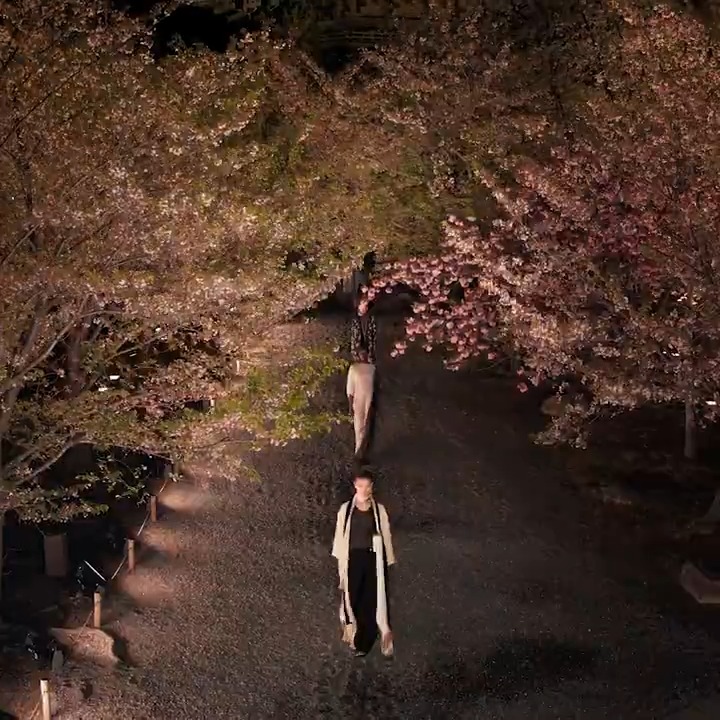火曜日の夜、京都で発表されたマリア・グラツィア・キウリによる #DiorFall25 からのファーストルックは、リブニット、ラップフロントのショートパンツとトラウザーで、プリーツと折り紙の芸術をさりげなく表現し、メゾンの日本との長年の繋がりへのオマージュを捧げました。