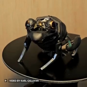 An animatronic frog in the making. A small delay is added between the eye blinks to break the symmetry, and the frog will eventually have silicone skin. Utilising some nice new 3D printing resin AmeraLabs XVN-50 that is great for intricate parts. Video Credit: Karl Gallivan #animatronics #engineering -------------------------------- Stay ahead of the curve! Follow us now on our WhatsApp ( and Telegram ( channels and stay updated about the cutting edge.