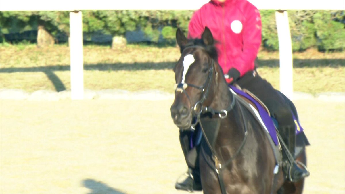 最も速い馬が勝つ！【#皐月賞】 無傷の3連勝で京都２歳S制覇 #エリキング 🏇 #川田将雅 騎手✖️#中内田充正 調教師のタッグで強力ライバル達に挑む🔥
