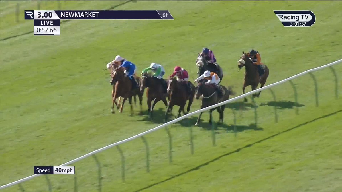 The Abernant goes to France 🇫🇷 Sajir strikes for master trainer André Fabre and Oisín Murphy. Blandford Bloodstock | Newmarket Racecourse