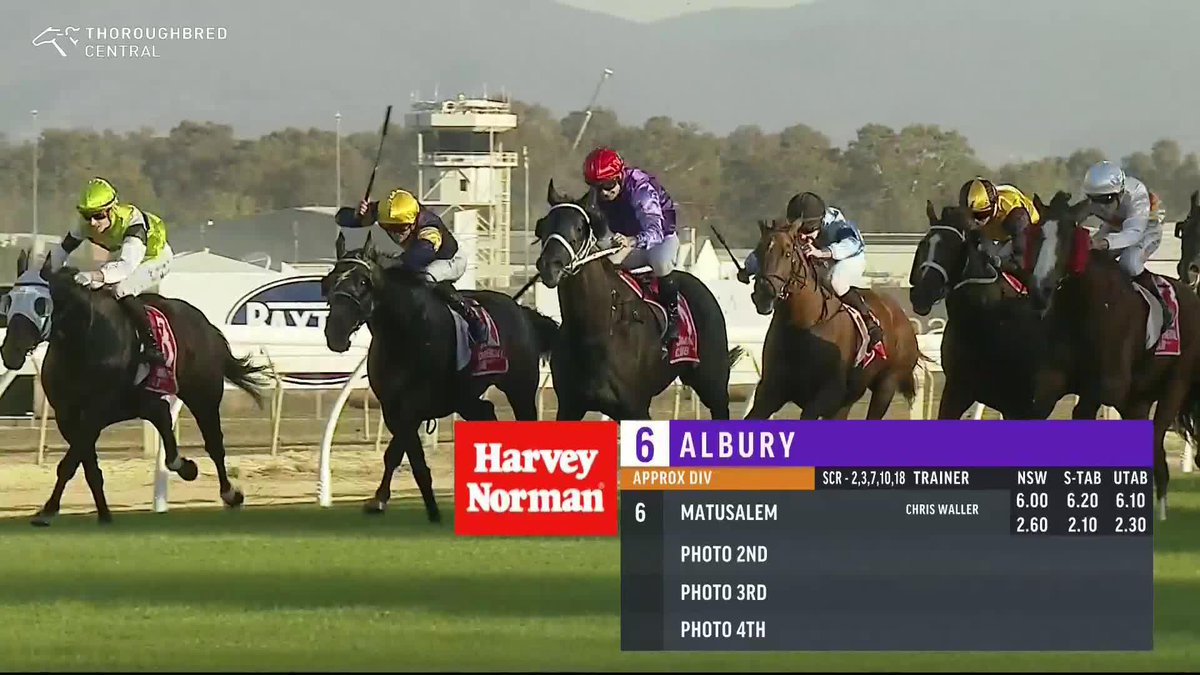 Matusalem sticks the neck out to win the Albury Gold Cup for Chris Waller Racing! 🏆