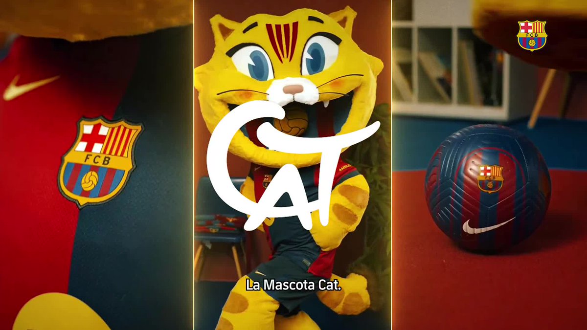 Cat és la mascota nº1 del món per això: