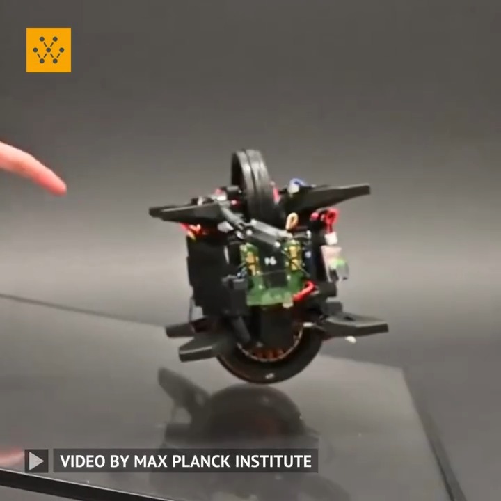 The Wheelbot is a wheel unicycle developed by researchers at Max Planck Institute that jumps onto its wheels from any initial position. The robot can self-erect itself from any position either by rolling up with its rolling wheel, or by standing up using its reaction wheel. This wheel unicycle uses brushless motors with high torque-to-weight ratios. As a result, the Wheelbot has a better balance and can reject disturbances to a greater extent than previous reaction wheel unicycle robots. Researchers: A. René Geist, Jonathan Fiene, Naomi Tashiro, Zheng Jia, Sebastian Trimpe Video Credit: Max Planck Institute #technology #wheelbot #maxplanck #maxplanckinstitute -------------------------------- Stay ahead of the curve! Follow us now on our WhatsApp ( and Telegram ( channels and stay updated about the cutting edge.