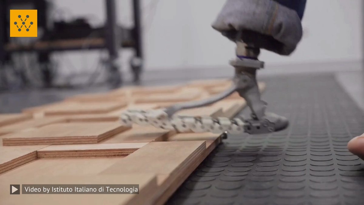 SoftFoot Pro - The motorless flexible artificial foot A motorless, flexible prosthetic foot inspired by the anatomy of the human extremity and waterproof is the new SoftFoot Pro bionic foot prototype, designed by the Istituto Italiano di Tecnologia (IIT-Italian Institute of Technology) in Genoa in collaboration with Centro E. Piaggio of University of Pisa. Its design is unique on an international level and aims to serve both as a flexible technological prosthesis for people with disabilities and as a solution for the humanoid robots of the future. Video source: IIT #tech #bionics #prosthetic #engineering #innovation -------------------------------- Stay ahead of the curve! Follow us now on our WhatsApp ( and Telegram ( channels and stay updated about the cutting edge.