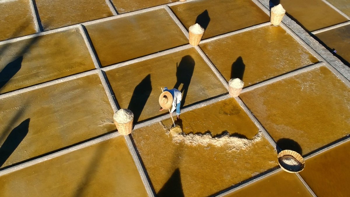 Today, salt producers in Zapotitlán can’t make enough money to sustain themselves