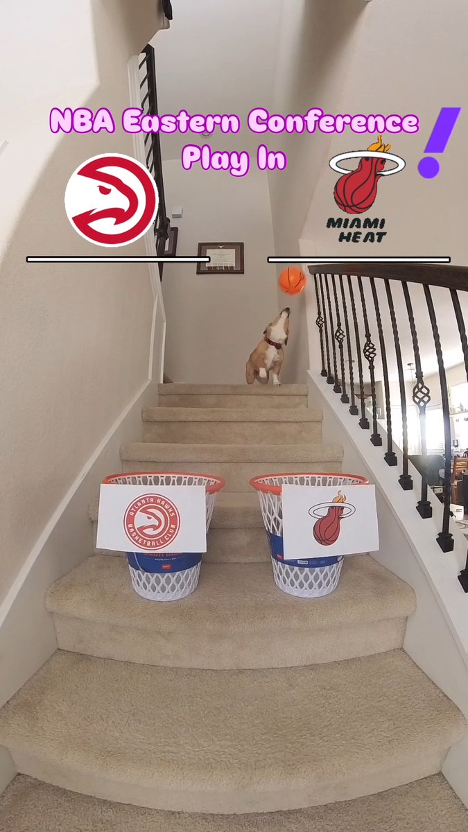 Who is Air Corgi taking in the Hawks-Heat Play-In game? 👀