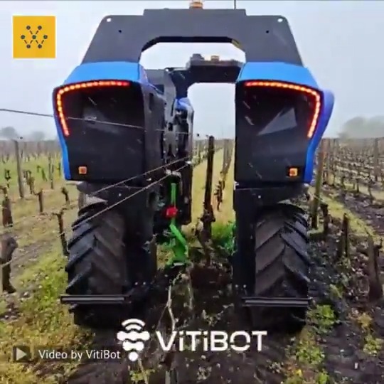 ブドウ園での作業に革命をもたらすブドウ園向けの電動ロボット。最近、アメリカは農業のロボティクス化に力を入れている。一方、どこかの先進国は外国人労働者を当てにしているという。どちらの国に未来がるかは明らかだ。