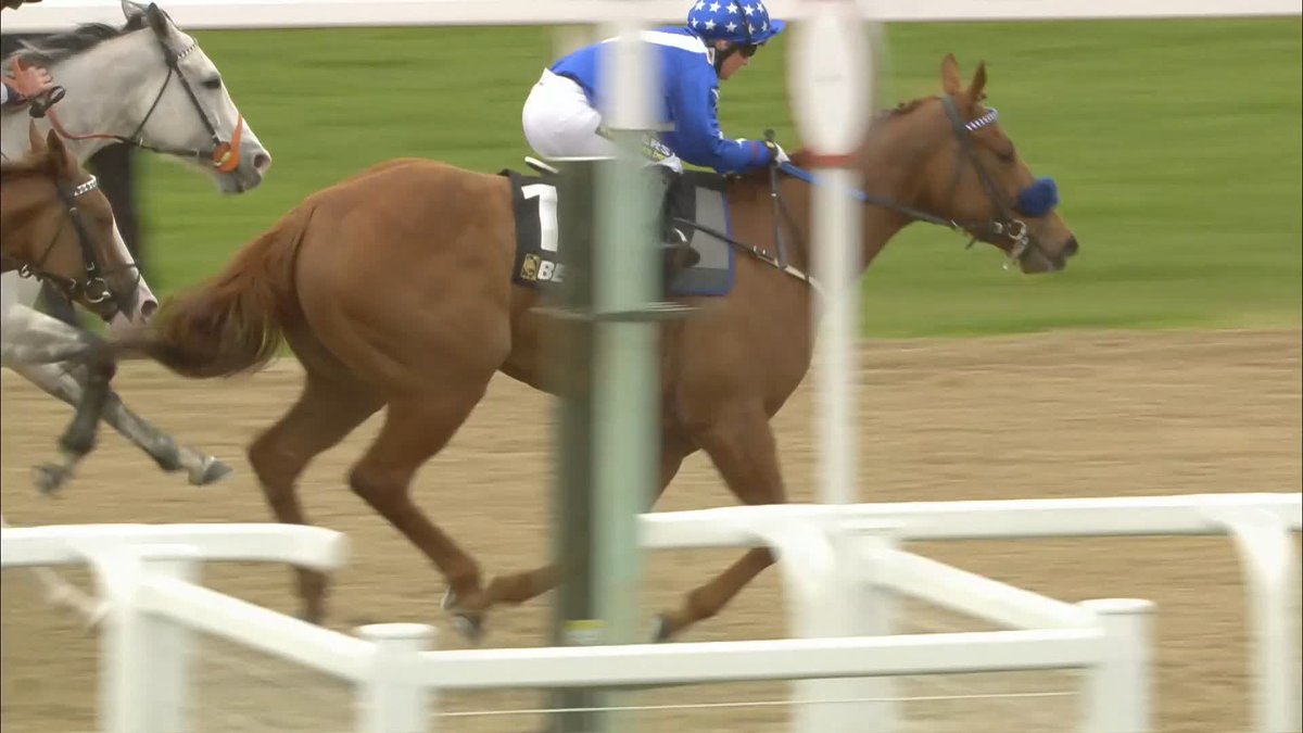 If you were on Heavenly Heather, we want to see those betting slips! 👇 #ITVRacing | Megan Nicholls