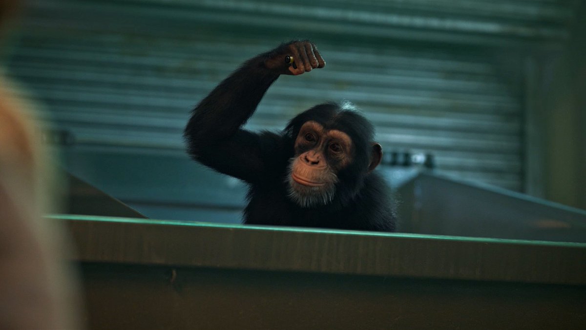 One person's trash is another hippo's treasure. #Jane — New Episodes Now Streaming