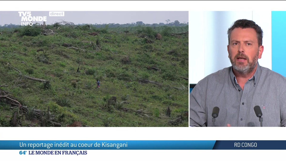 🔴 RD Congo : la société d'activités agropastorales "CAP Congo" est-elle "à l'origine de tueries", depuis son implantation à Kisangani ? Réponse ce samedi dans "RDC - Les palmiers du sang", une enquête choc de Simon Rodier, Lola Collombat et Simon François TV5MONDE+