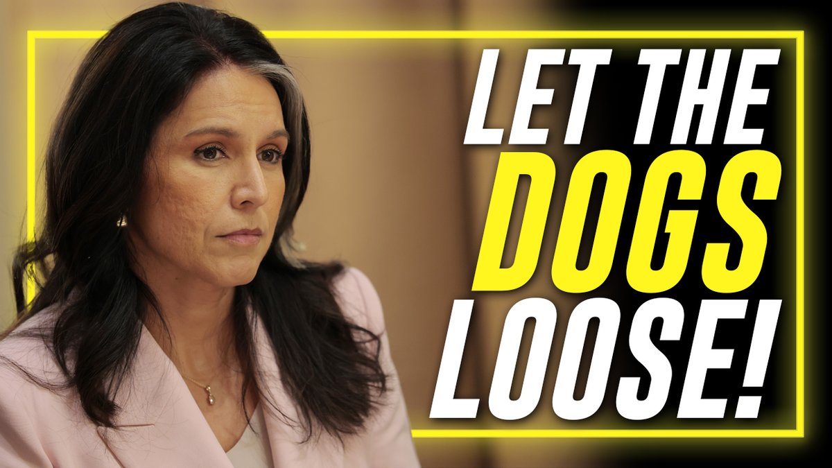 Let The Dogs Loose!!! Alex Jones Calls On President Trump To Bring DNI Tulsi Gabbard Into The FBI To Expedite The Release Of The Epstein Files &amp; Other Highly Anticipated Classified Documents