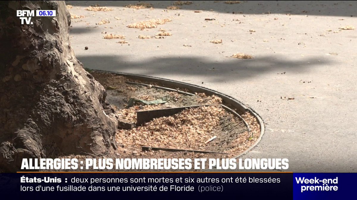 Éternuements, démangeaisons… Les allergies plus nombreuses et plus longues en raison du réchauffement climatique