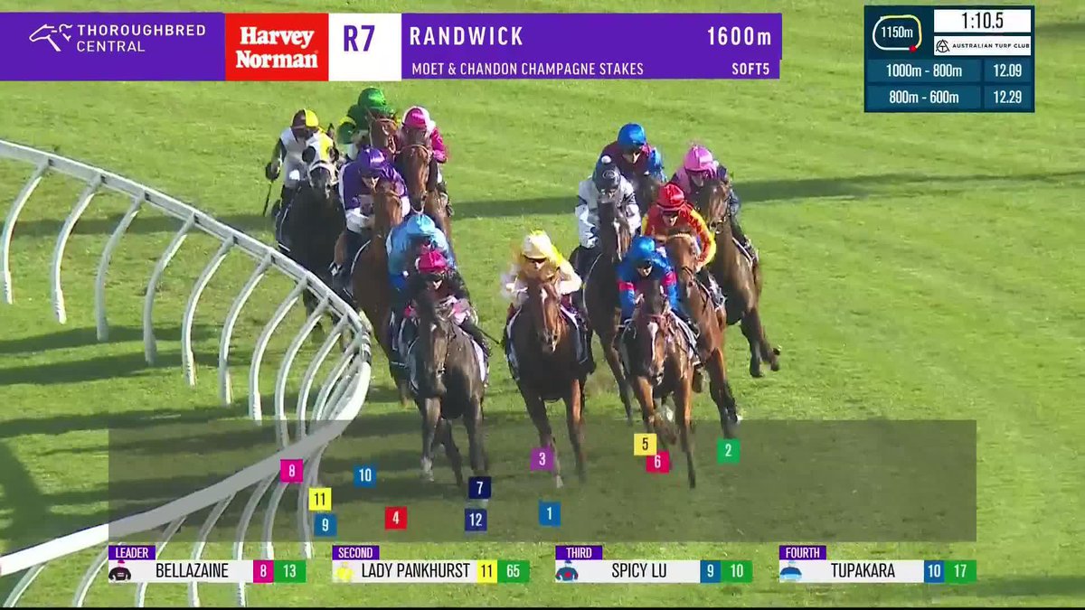 A huge win for Nepotism in the G1 Champagne Stakes, coming from last! 💪 Tyler Schiller | Hawkes Racing | Australian Turf Club