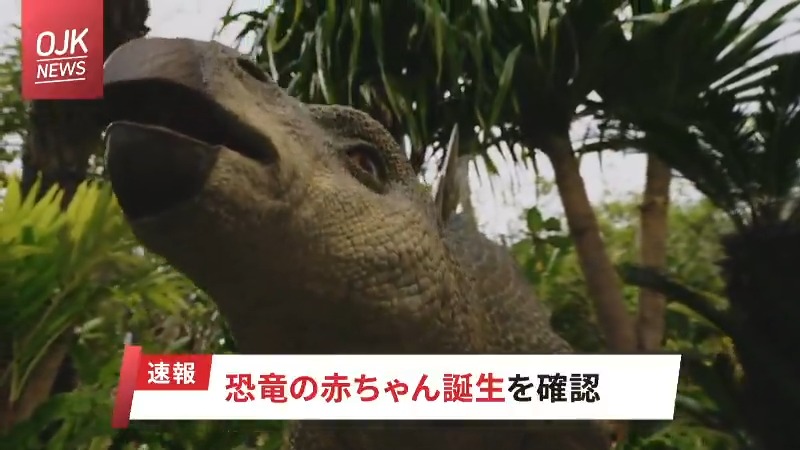 / ジャングリアの赤ちゃん恐竜の名前を大募集📢 \ 約6600万年ぶりにステゴサウルスの赤ちゃんがジャングリア沖縄に誕生🎉 誕生を記念して、名前を一般公募します🦖✨ あなたの考えた名前が公式になるチャンス!