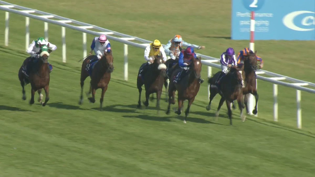 No Wild Waves fans here 🌊🏄‍♀️❗️ How do you think he will perform today at Musselburgh Racecourse 👀 #ITVRacing | Matt Chapman | Megan Nicholls | adele mulrennan
