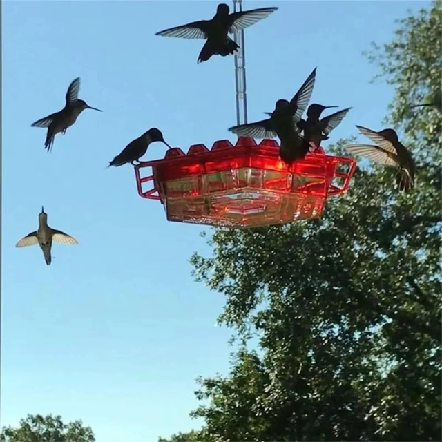 🐦Attract Hummingbirds to Your Garden with Ease! Create a Paradise for These Delightful Creatures. 🌷After adding water, it can automatically feed the birds or other flying animals that stop by! ❤️Get yours👉
