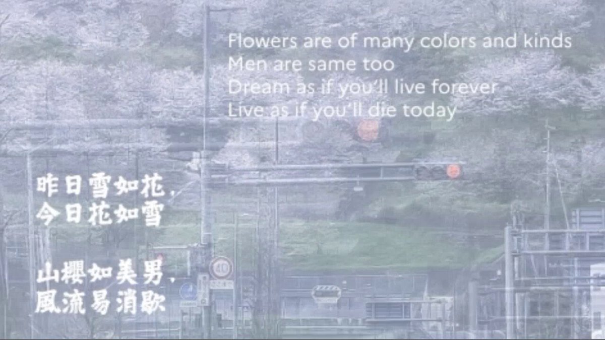 花如雪如 花 , 祼春鹿兒 島 昨日雪如花，今日花如雪 山櫻如美男，風流易消歇 Under the Sky of Sakura, Kagoshimaowy Blossom Naked Soul Flowers are of many colors and kinds Men are same too. Dream as if you’ll live forever Live as if you’ll die today
