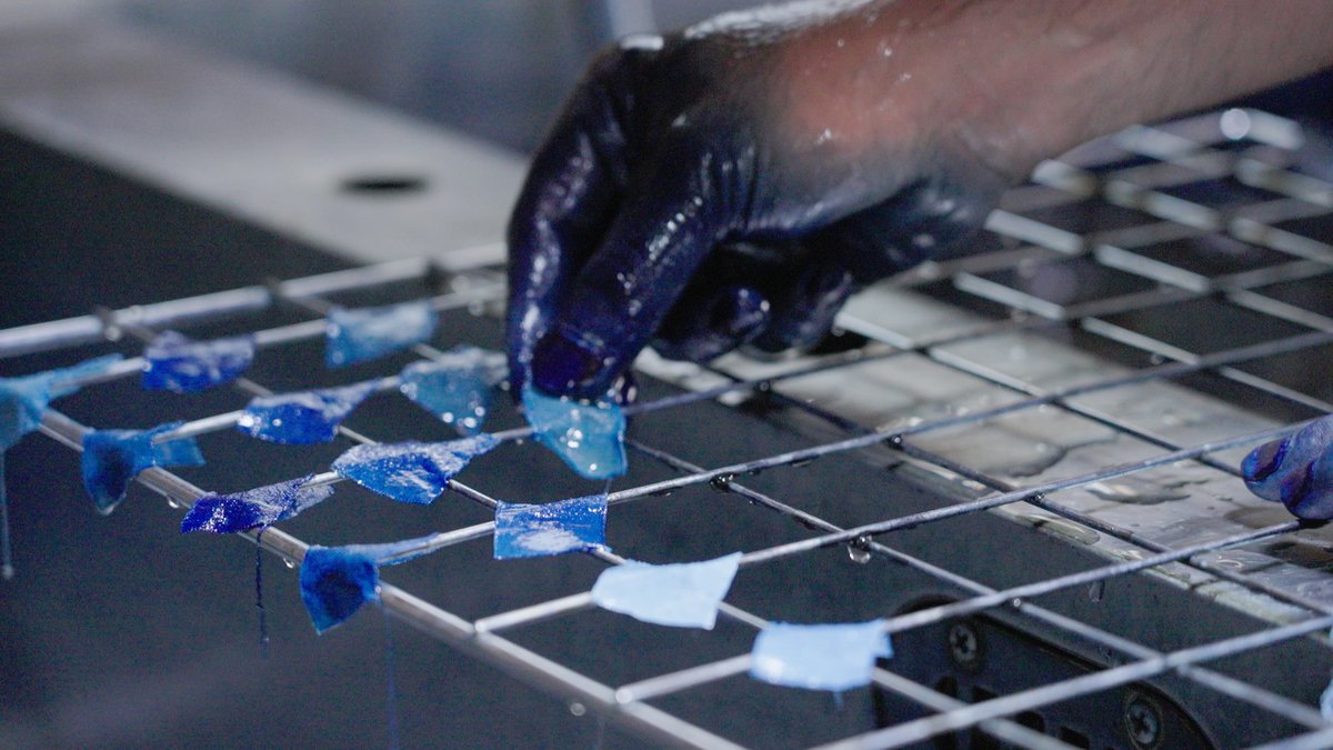 Once covering 37,000 acres in Tokushima, Japan’s indigo fields have shrunk to just 42 acres in the age of synthetic dye