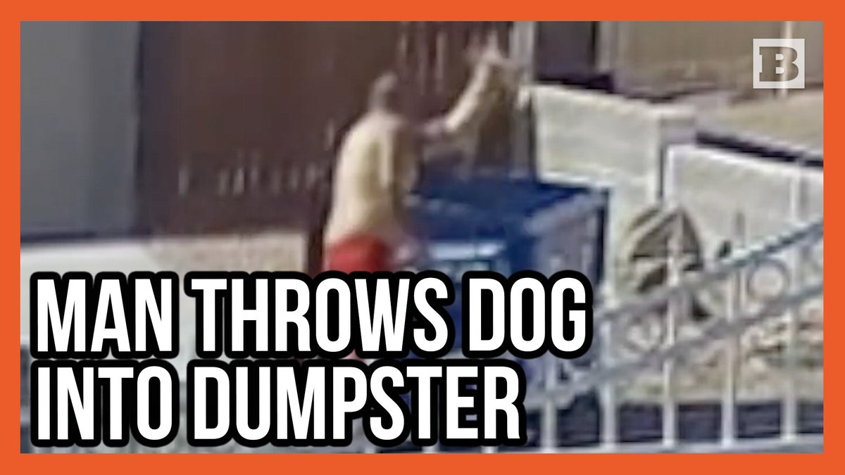 The Las Vegas Police Department is seeking the public's help to find the identity of a man who threw a helpless dog into a dumpster.