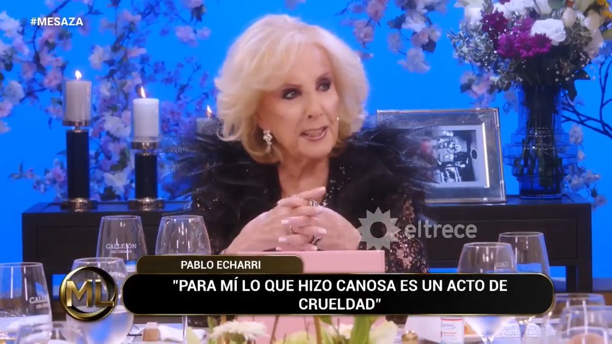 "Mirtha": Por los comentarios de Mirtha Legrand y Pablo Echarri sobre las acusaciones de Viviana Canosa