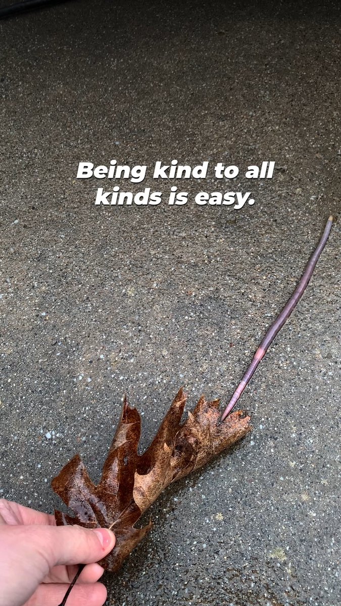 No matter how small, everyone deserves respect 🐜 💕