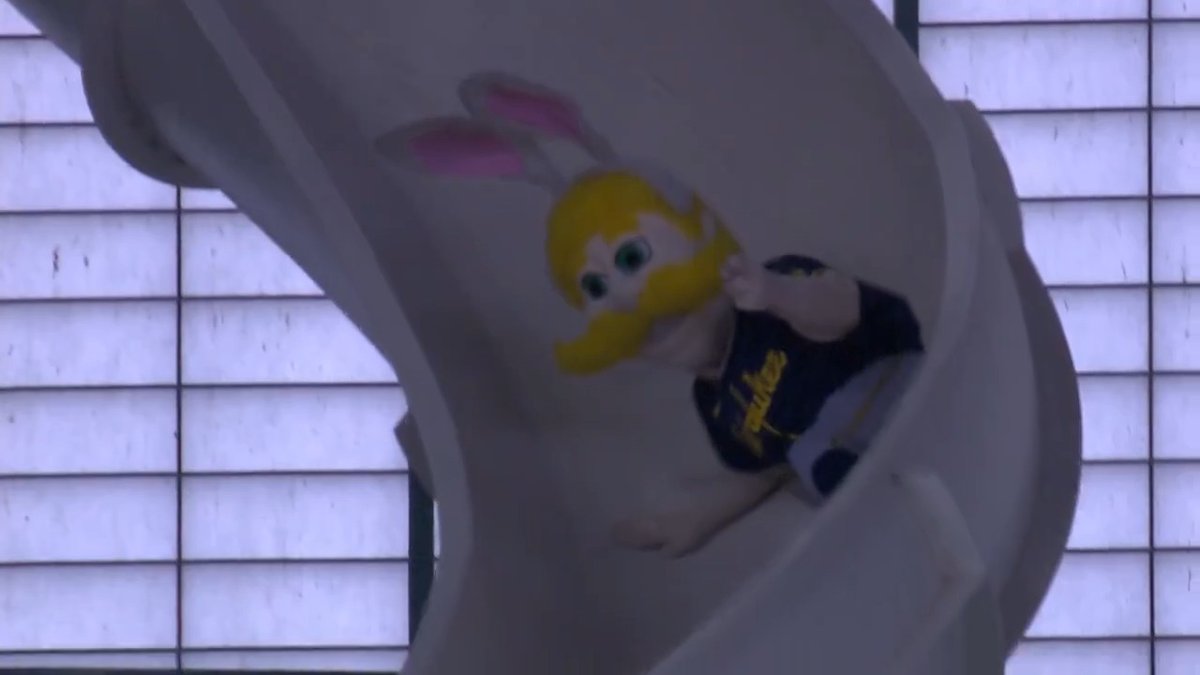 bernie brewer is dressed for the occasion 🐇