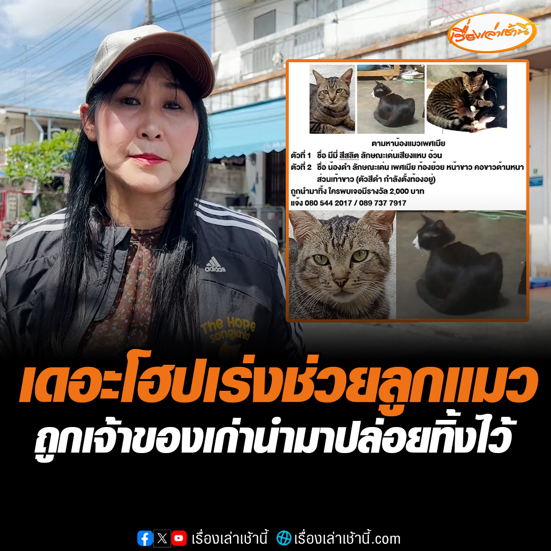 เดอะโฮปสงขลา เร่งช่วยแมวที่ถูกเจ้าของนำมาทิ้ง จนกระทั่งมีคนใจดีรับเลี้ยงดูต่อ พร้อมแจ้งความจับเจ้าของแมวเก่า เผยเจอน้องแค่ตัวเดียว อีก 2 ตัวยังไม่เจอ ตั้งรางวัลหากใครเจอมอบเงิน 2 พันเป็นสินน้ำใจ #เรื่องเล่าเช้านี้ #ข่าวช่อง3 #ข่าวภูมิภาค #สงขลา