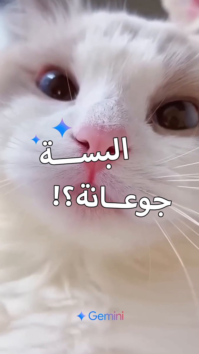 جديد بتربية القطط؟ دع Gemini ذكاء Google الإصطناعي يكون رفيقك ويوجهك من البداية! #أحسن_مع_Gemini جرّب هنا ↓