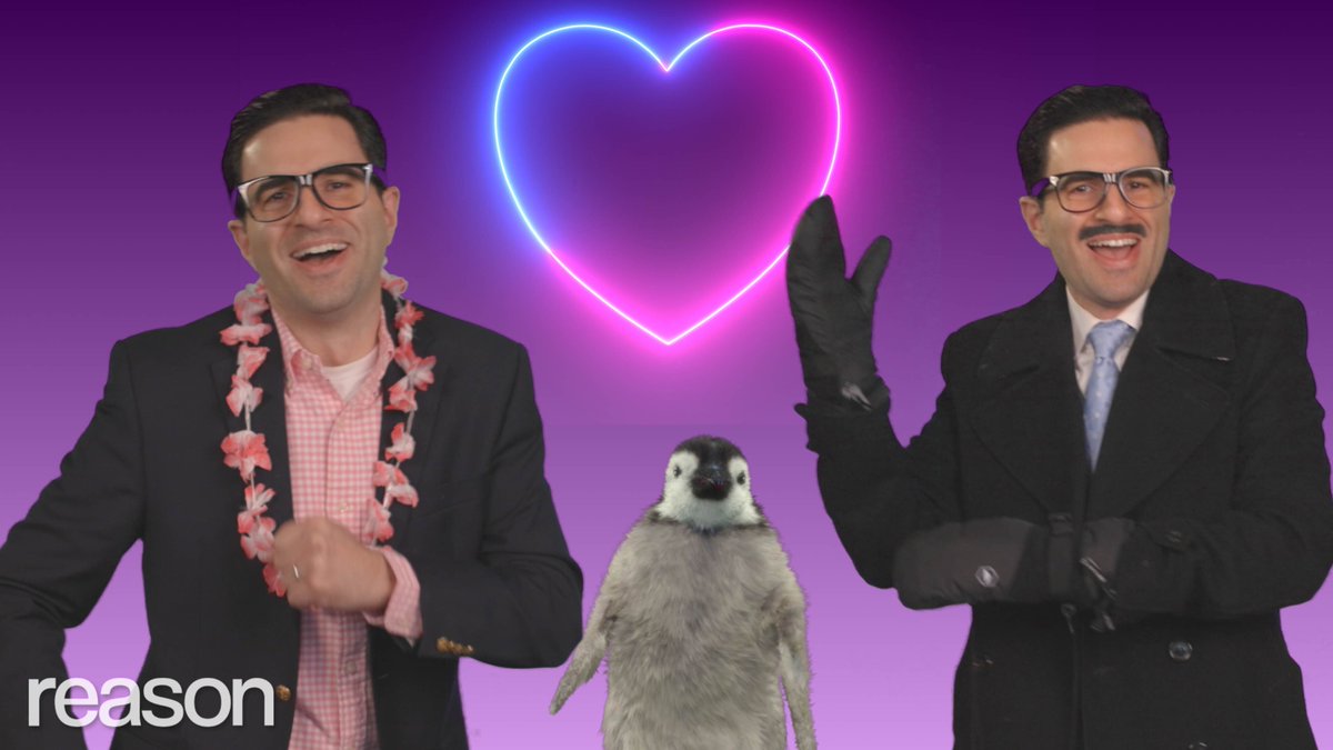 🎶I'm feeling homely. Why's their wine industry thriving? Ours is lonely. Sir, we're an island inhabited by penguins. So skeptical, huh? Well it's more than skepticism— It's time we ask for more, more, more.🎶 Parody of Fifty Fifty's "Cupid," written & performed by Remy