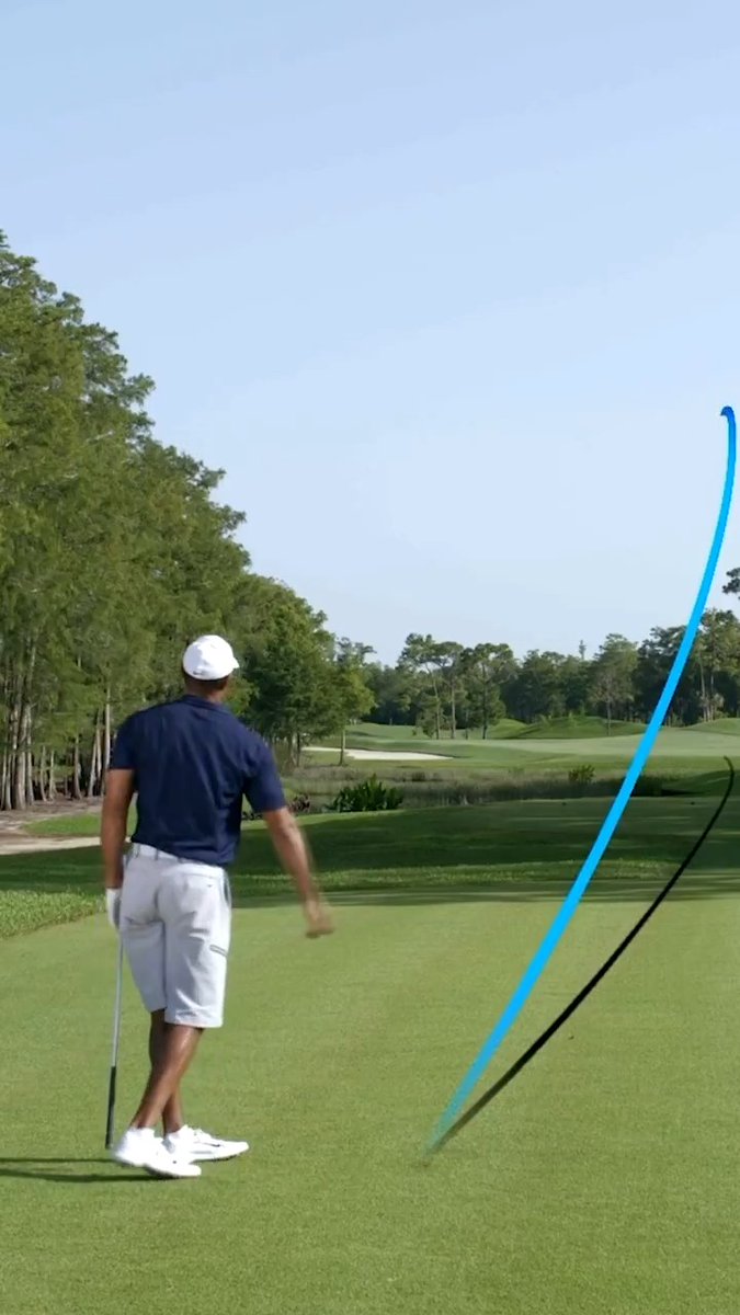 Tiger teaches the stinger. 😮💨