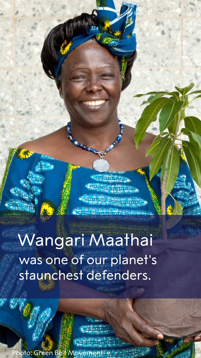 When thinking of planet Earth's guardians, what names come to mind? Today we acknowledge the dedicated individuals who have devoted their lives to its protection and preservation. #EarthDay