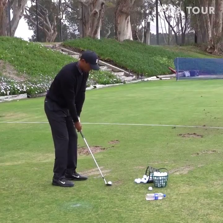 Mesmerizing 🐅🔥