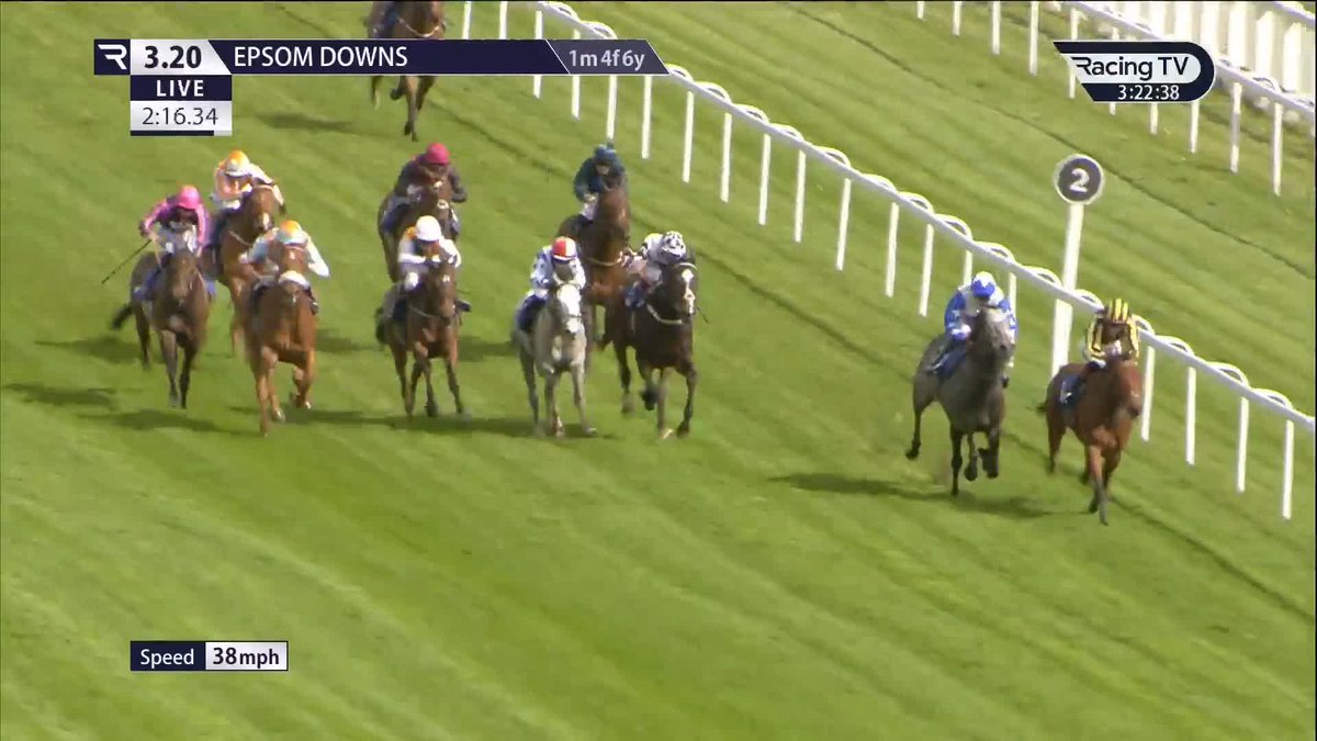 🫡 Asgard's Captain impresses in the Weatherbys Limited Great Metropolitan Handicap Epsom Downs Racecourse under David Egan for Dylan Cunha Racing LTD ⚫️🟡