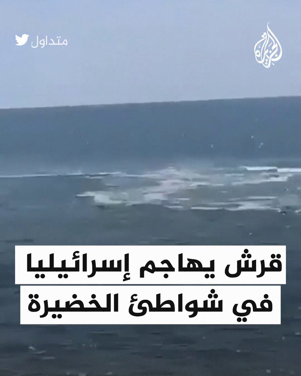 قرش يهاجم إسرائيليا في شواطئ الخضيرة في #حيفا