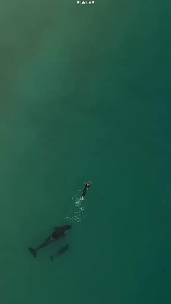 What would you do if you were in this situation? 😳
