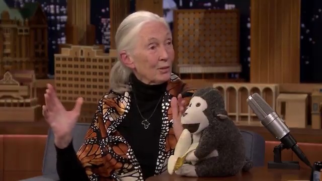 .Dr. Jane Goodall & the Jane Goodall Institute shares her hope for the future 🌎 #FallonFlashback #EarthDay