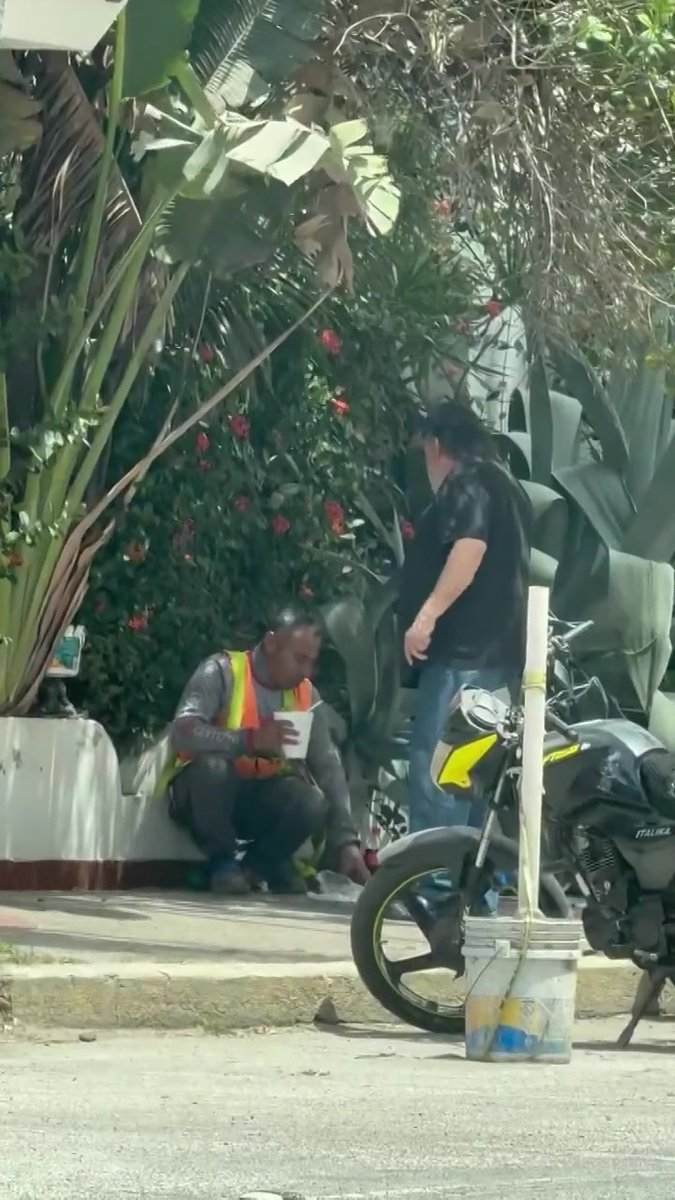 Una usuaria de redes sociales compartió un video para exhibir a un hombre extrajero quien supuestamente corrió a un trabajador por comer y descansar en una jardinera en #Mazatlán, #Sinaloa. ¿Qué opinan de este tipo de actitudes?