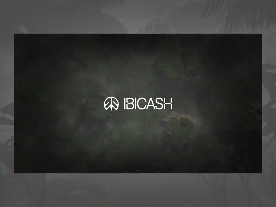 🌱A rainforest you can explore A protocol that keeps it alive Ibicash — Forests Onchain