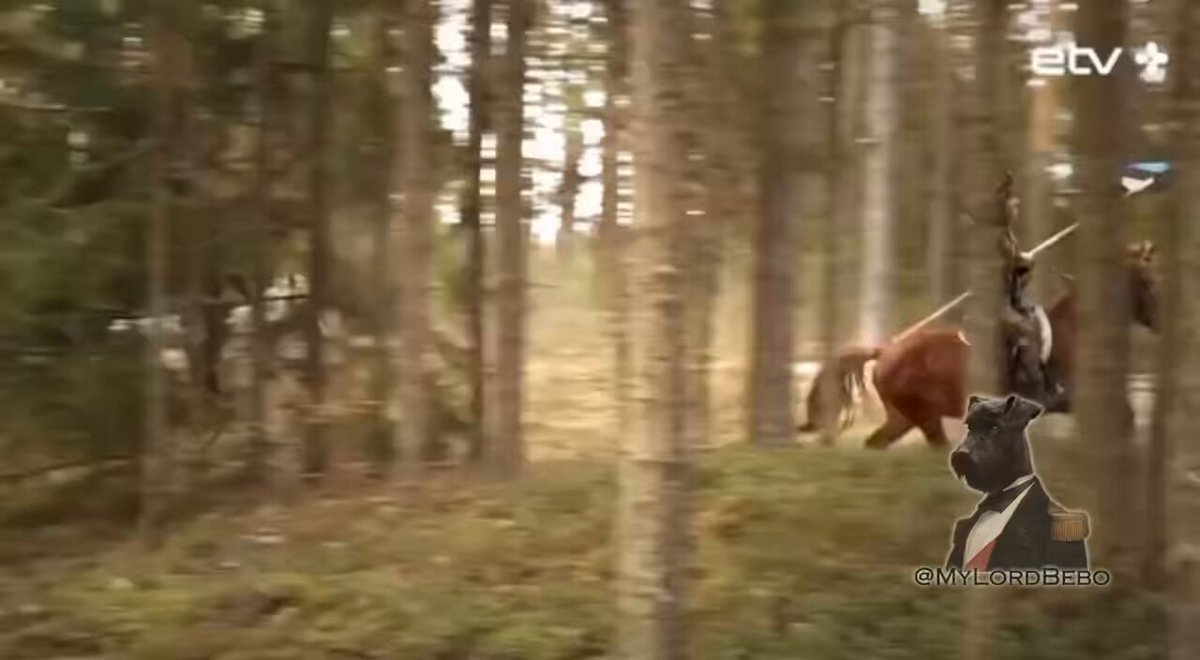 🇪🇪🇷🇺 A cavalry unit in Estonia on the border with Russia! The main task of the cavalry unit will be patrolling the border with Russia and push back any Russian threat!