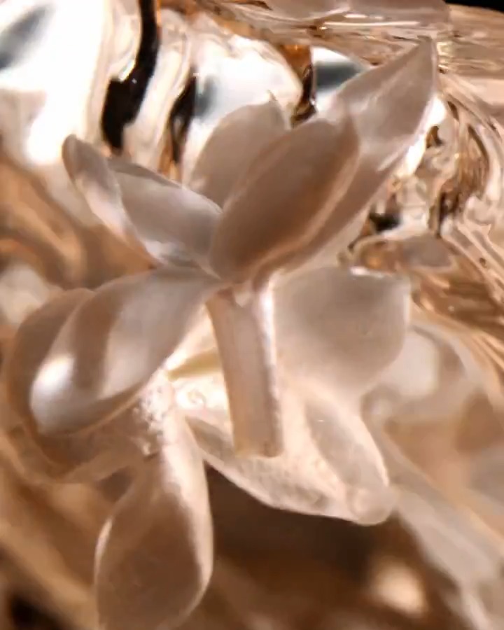 Discover the solar silhouette of Jasmin des Anges, a gourmand floral fragrance as it wraps you in its exquisite essence, of liquorous late harvested jasmine enriched with apricot nectar and honey reflections. #DiorBeauty #DiorParfums #DiorLaCollectionPrivee