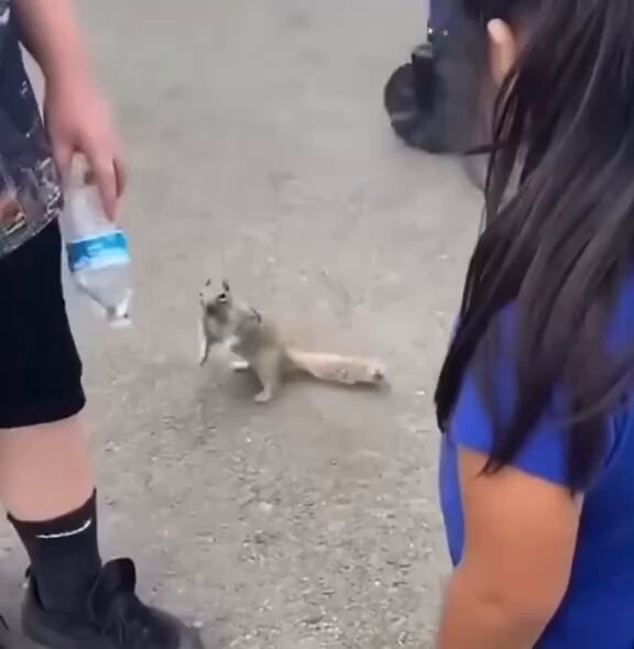 Kindness matters