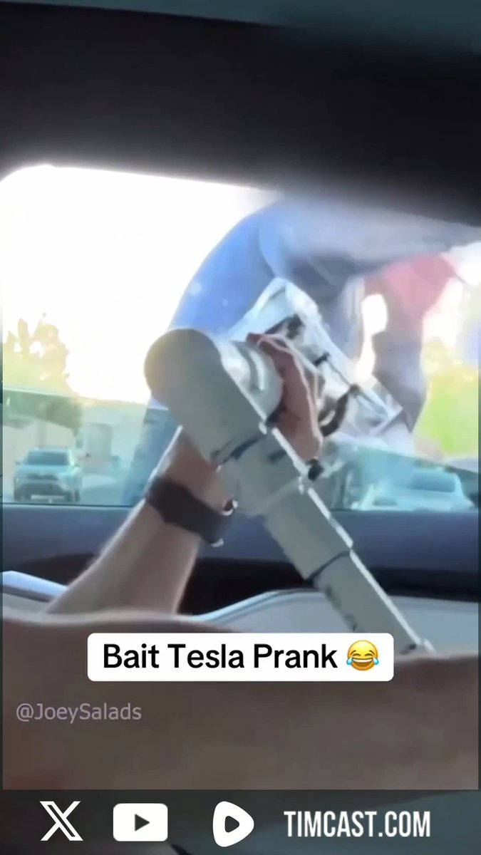 INSANE Poop Prank On Tesla Vandal