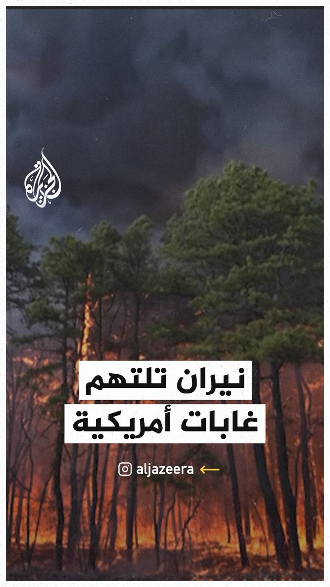 النيران التهمت الغابات.. مشاهد توثق اندلاع حرائق كبيرة في ولاية نيوجيرسي الأمريكية