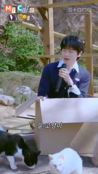 명창 고양이 하현상이 부르는 신곡 '고양이' 너무 귀여워서 입꼬리가 내려오지 않는다😸💖 [My Core Vibes] [4K] 하현상 - 고양이 ▶ #하현상 #Hahyunsang #고양이 #Cat
