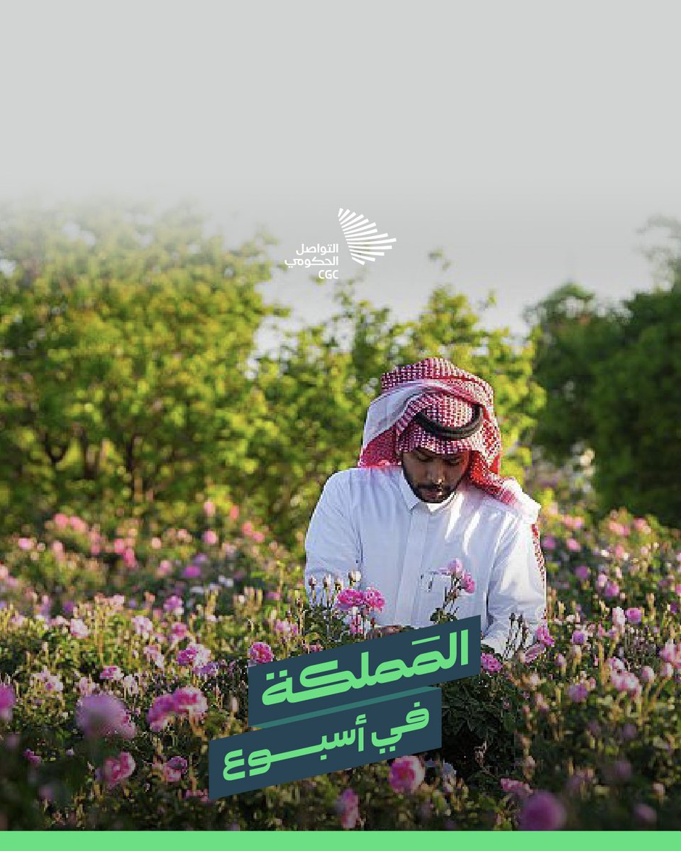 #المملكة_في_أسبوع.. جدة تحتضن فورمولا 1، والقصيم تشهد ولادات المها العربي، والسماء تتزين بمناورات "علم الصحراء 2025".