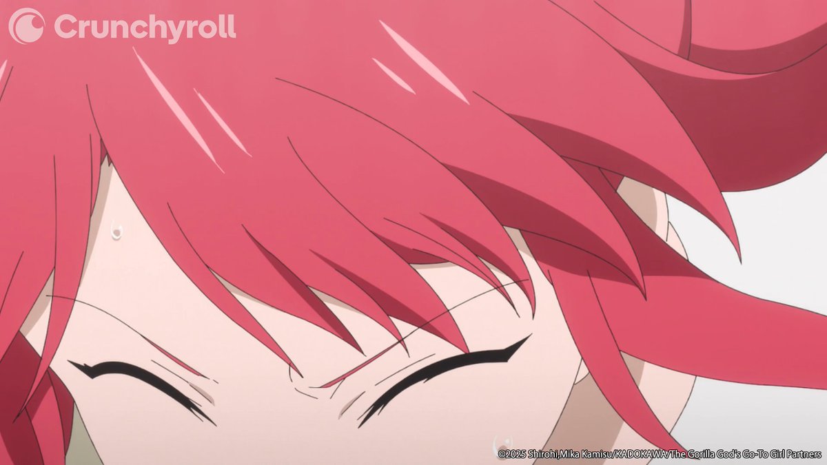 Gorilla strength: 1, Wall: 0 🦍 (via The Gorilla God’s Go-To Girl)