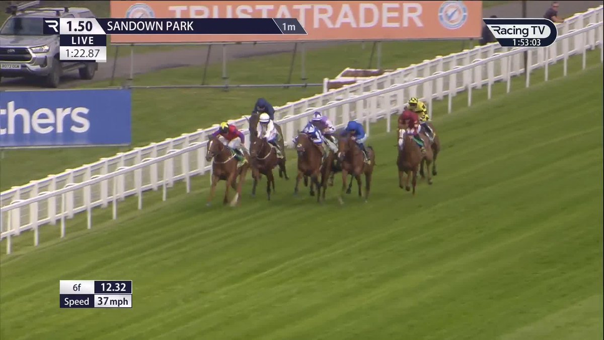 🔵 Fifth Column - bet365 Esher Cup hero