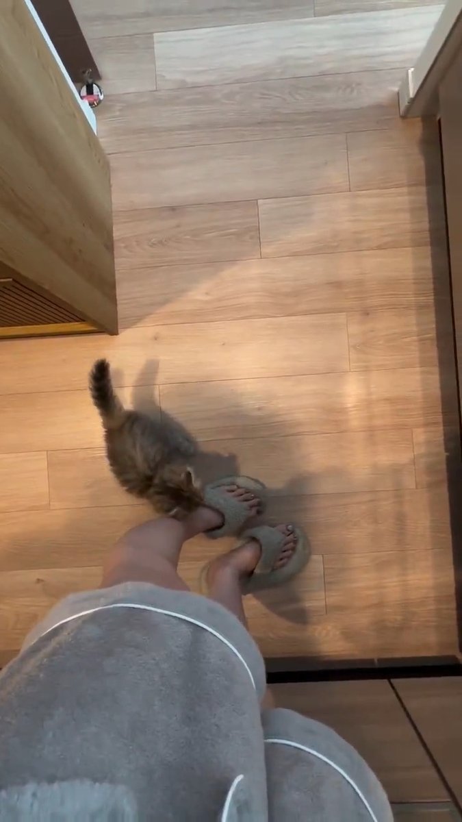 HUMAN PICK ME UP